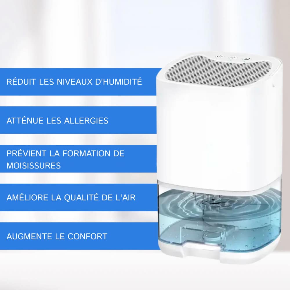 Breathe Cleaner Air With Lenoro™ Dehumidifiers