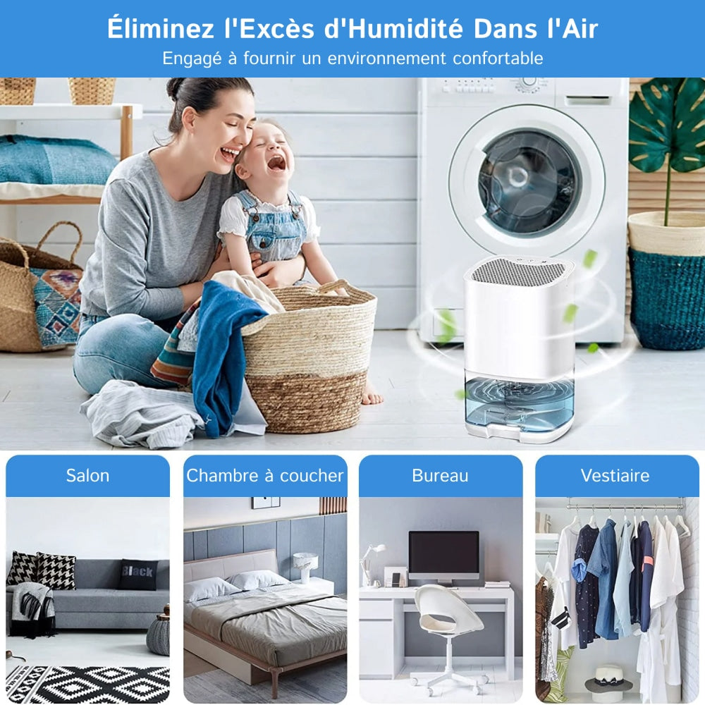 Breathe Cleaner Air With Lenoro™ Dehumidifiers