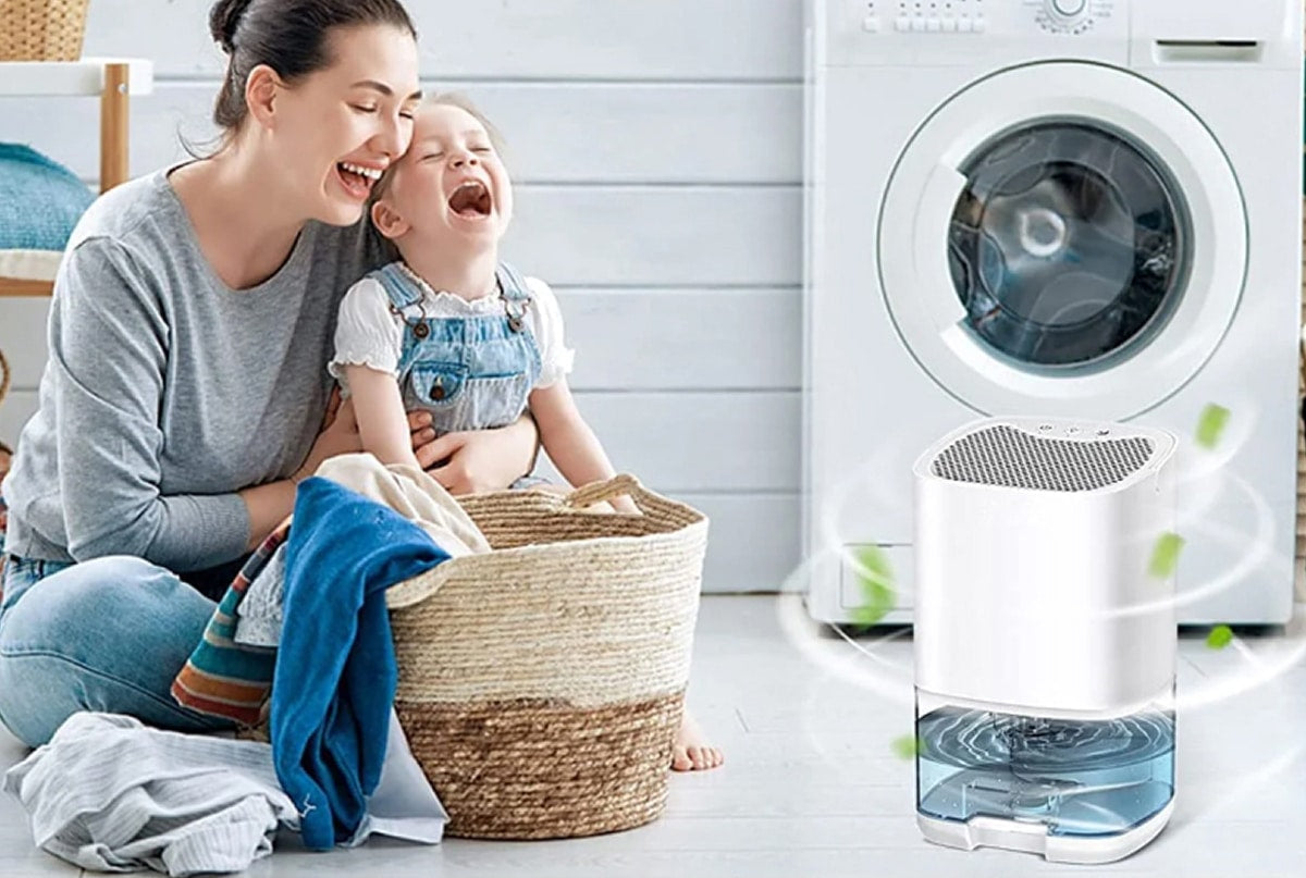 Breathe Cleaner Air With Lenoro™ Dehumidifiers