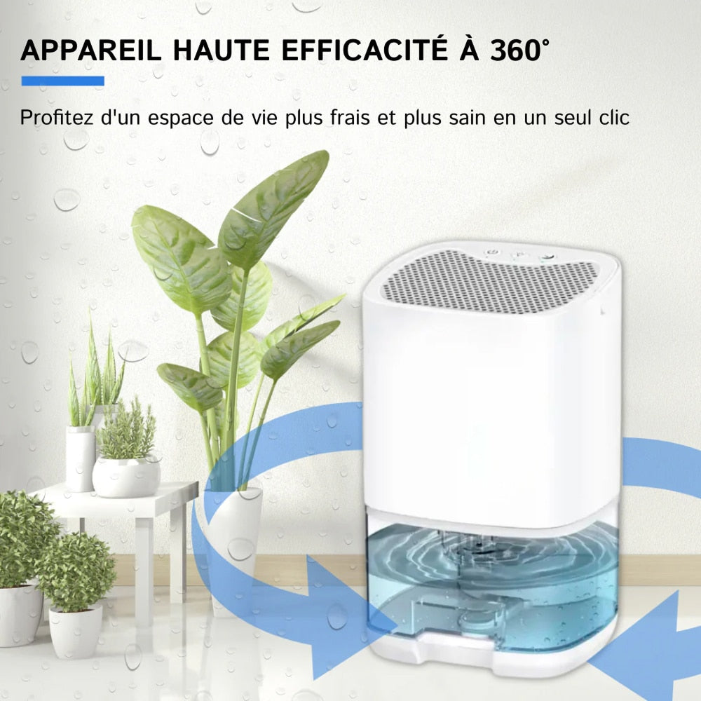 Breathe Cleaner Air With Lenoro™ Dehumidifiers